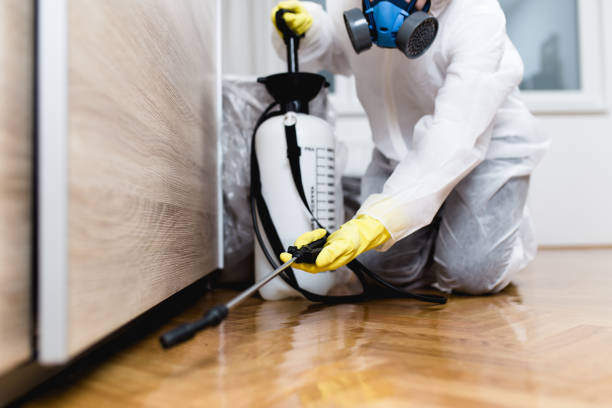 Best Emergency Pest Control  in Elmer, NJ