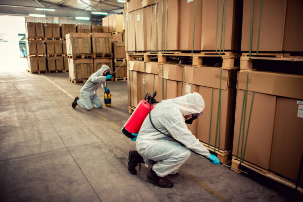 Best Wildlife Control Services  in Elmer, NJ