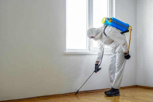 Wasp Removal Services in Elmer, NJ